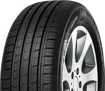 Minerva F209 195/55 R15 85V
