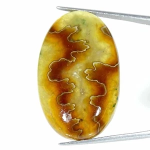 50.10Cts Natural Ammonite Oval Cabochon Loose Gemstone - Picture 1 of 5
