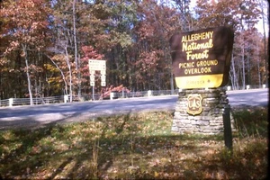 Vtg 1973 35mm Slide - Allegheny National Forest Sign, Pennsylvania - Kodachrome - Picture 1 of 1