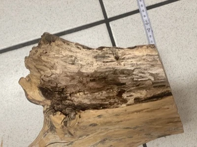 Holz Stamm Wurzel Deko DIY Treibgut Schwemmholz Naturholz - Bild 1 von 4