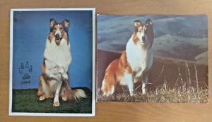 Lassie - Set of 2 Vintage Stills / Photographs Photos Collector's Items - Set #8 - Picture 1 of 3