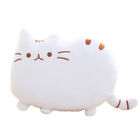 Cookie Cat Pillow Big Face Cat Meow Star Plush Toys Multiplier CMM