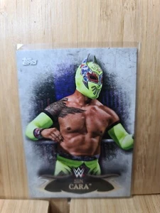 SIN CARA 2015 Topps #43 WWE Tarjeta Paralela Base de Plata Indiscutible CORREO GRATUITO - Imagen 1 de 2