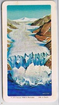 Brooke Bond Red Rose Tea Cards The Arctic #25 Glacier Calving Iceburgs - Image 1 of 2