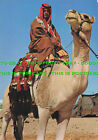 L275217 Beduine auf seinem Kamel. Palphot