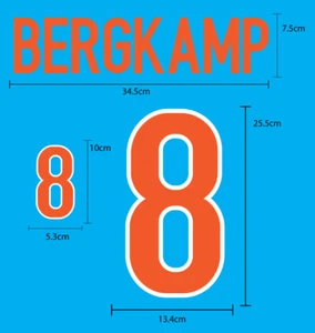NETHERLANDS Away World Cup 1998 PU NAME NUMBERING PRINT EXCELLENT QUALITY - Picture 1 of 10