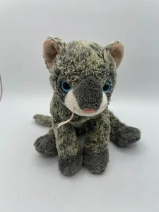 TY Beanie Buddies Buddy Frisco Gray Cat Plush Blue Eyes 12" 2003 Missing Bow - Picture 1 of 12