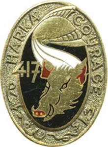 20° Régiment de Dragons, HARKA 417, sanglier, émail, dos lisse,Drago Paris(3437) - Imagen 1 de 2