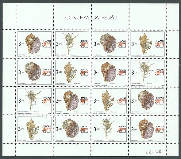 Hoja de recuerdo Macao 1991 Shells muy fina MNH.............................59833 Foto 1 de 1
