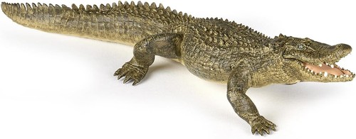 Foto 1 di 4