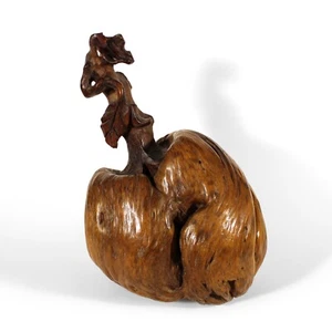 CHINESISCHE BAUMWURZELSCHNITZEREI HOLZ KUNST GESCHNITZT POMEGRANATAPFEL SKULPTUR STATUE PORZELLAN 11 ZOLL - Bild 1 von 6