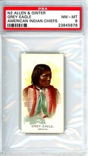 N2 Allen & Ginter Grey Eagle American Indian Chief PSA 8 Apache  12217