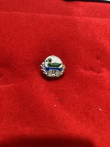 Prendedor de premio de servicio de 15 años Green Duck Company de colección plata de ley - Imagen 1 de 5