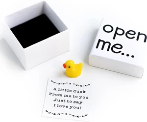 I Love You Gift, Duck Gift, Matchbox Gift, Gift for Boyfriend, Gift for Girlfrie - Picture 1 of 12