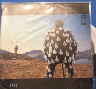 Pink Floyd "Delicate Sound Of Thunder". 1988. 2LP. EMI Melodiya USSR - M- Foto 1 de 4