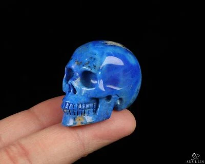 Calavera de cristal tallada a mano con piedras preciosas de 1,5" lapislázuli, realista, cristal curativo Foto 1 de 4