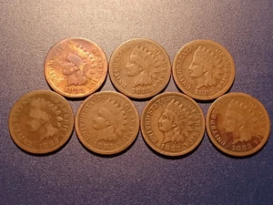 Lote de (7) centavos cabeza india 1883 - Imagen 1 de 2