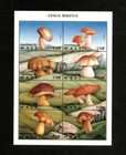 Mali 1996 - Boletus Mushrooms, Fungi - Sheet of 8v - Scott 764 - MNH