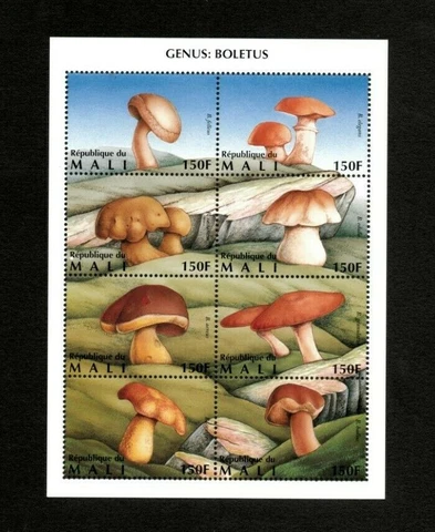 Mali 1996 - Boletus Mushrooms, Fungi - Sheet of 8v - Scott 764 - MNH Cover