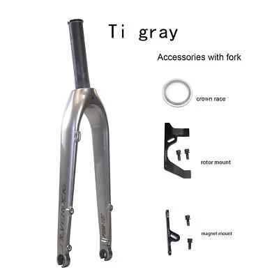 Horquilla de bicicleta plegable de carbono 20" 451 freno de disco 100 mm montaje plano con adaptador magnético Foto 1 de 4