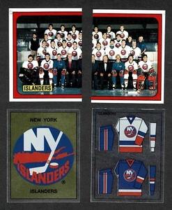 1988-89 pegatinas Panini equipo de los isleños de Nueva York conjunto de 16 trotones, Hrudey - Imagen 1 de 3