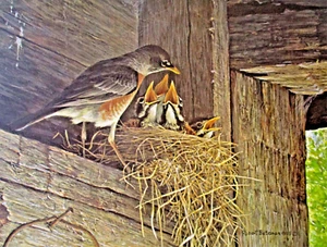 "Robins at the Nest" by artist Robert Bateman- a signed limited edition print - Picture 1 of 7