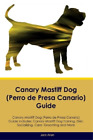 Jack Allen Canary Mastiff Dog (Perro de Presa Canario) Guide Canar (Taschenbuch)