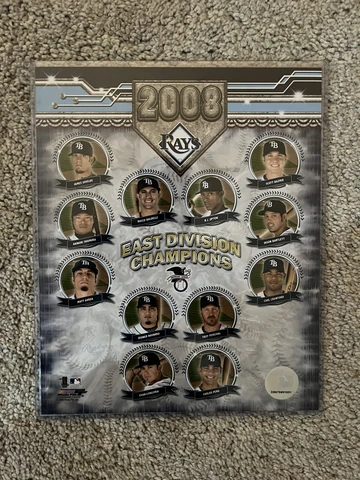 2008 Tampa Bay Rays 8x11 World Series Picture In Plastic Protector Cover