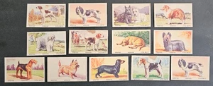 1949 Australia Vita-Brits Favourite Dogs Series-12/32 + 1 dup Collectable Cards - Picture 1 of 4