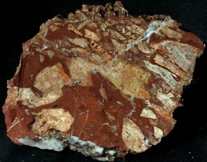 A-1243a ~ 7,6 Unzen Platte bunter Jaspis ~ Arizona - Bild 1 von 6