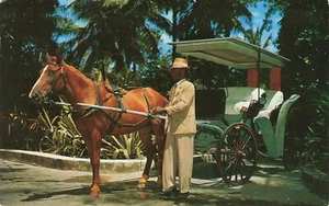 Nellie At Royal Victorian Hotel Nassau Bahamas Postcard Posted 1953 - Picture 1 of 2