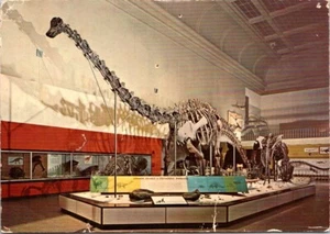 Cartolina Dinosauro Condizioni Emissioni 6x4 - Foto 1 di 2