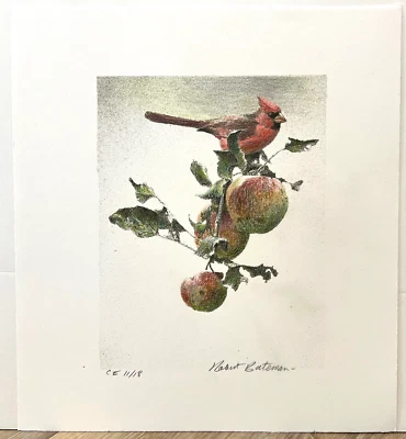 Robert BATEMAN Original Grabado Cardenal y Manzana Salvaje Arte Coloreado a Mano RARO Rojo Foto 1 de 4