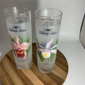 Celebrity Cruises Set di 2 Bicchieri Smerigliati con Fiori e Ricette Cocktail - Foto 1 di 5