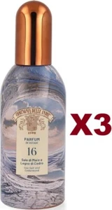 3PCS INDIE COMPANY PARFUM DE VOJAGE SEA SALT AND CEDAR WOOD 100ML - Picture 1 of 2
