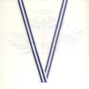 British Army Medal Ribbon Blue & White Pinstripe, 20mm Woven Tape - Foto 1 di 1