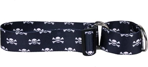 2" Wide Martingale Dog Collar, Skulls, Large - Picture 1 of 4