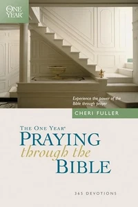 The One Year Praying Through The Bible - Picture 1 of 1
