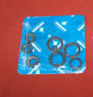 8 x Motor + Kurbelwellen Wellendichtringe Rotax 123 Aprilia Pegaso RS 125 AF1 - Bild 1 von 2