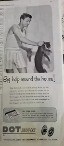 1951 men's Dot Snappers hold striped underwear shorts cat vintage ad - Picture 1 of 1