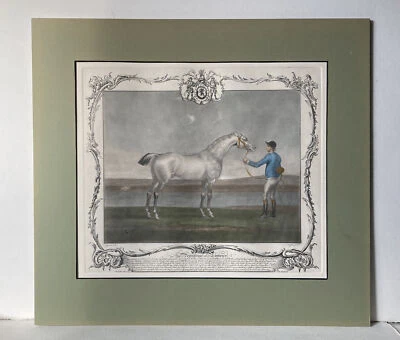 Caballo de carreras “Lamprey” y jockey 1755 retrato mezzotint H/C James Seymour en muy buena condición Foto 1 de 4