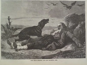 Soldado muerto y perro fiel Waterloo francés 1868 Harper’s impresión semanal - Imagen 1 de 2