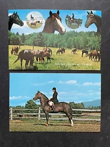 Postcard Lot Vermont Morgan Horses of Vermont Pasture Green Grass 1960s - Picture 1 of 2