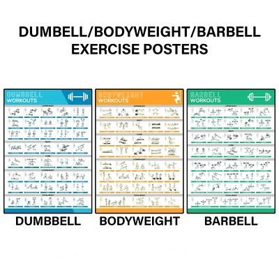 GYM WORKOUT POSTERS DUMBELL BODYWEIGHT BARBELL EXERCISE A5-A1 POSTER PRINTS - Image 1 of 4