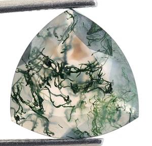 High Quality Garden Moss Agate Trillion Shape 13X13 mm Loose Gemstone 4.75 Ct. - Picture 1 of 6