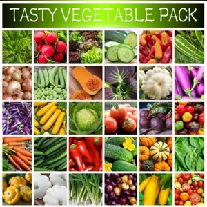 CLASSIC VEGETABLE SEEDS PACK-HEIRLOOM-15 PACKETS-GROW YOUR OWN VEGETABLE GARDEN - Picture 1 of 18