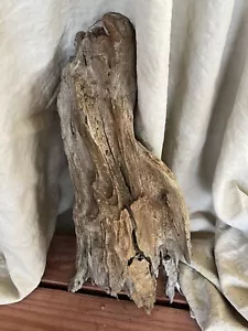 Fabulous Driftwood Piece 20” - Picture 1 of 5