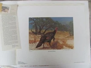 Neu mit Etikett 8 National Wild Turkey Fed. Druck mit Stempel, Foilo signiert #Neu mit Etikett F8AB10 DSS - Bild 1 von 2
