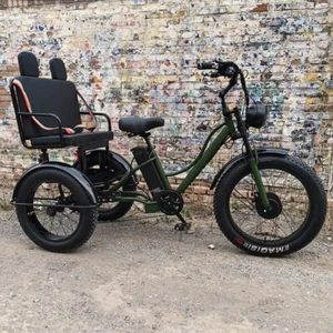 Three Wheel Fat Tire 750w/48v Electric Pedicab Rigshaw Passenger Tricycle - Picture 1 of 2