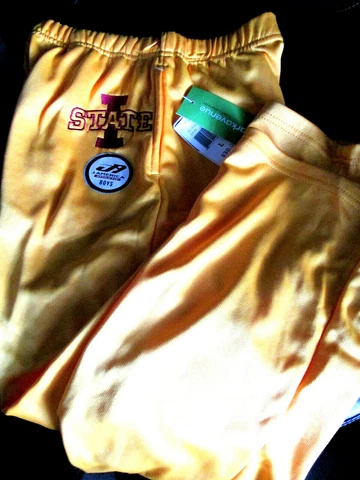 NWT IOWA STATE CYCLONES YOUTH SWEAT PANTS YELLOW LARGE Cover